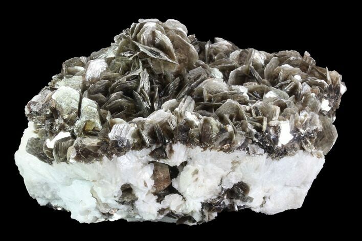 Muscovite On White Albite Association - Brazil #95578